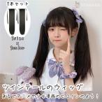 ツインテール ウィッグ かわいい おしゃれ 女性 レディース 髪型 ハロウィン コスプレ 原宿系 つけ毛 仮装 簡単 使いやすい 35cm 45cm 55cm 2本セット 送料無料