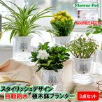3個セット自動給水プランターおしゃれ家庭菜園水やり送料無料