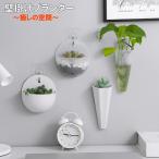 壁掛け プランター 多肉植物　サボテン　ミニ プランター　おしゃれ 可愛い　送料無料