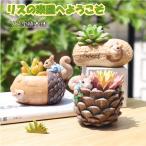 植木鉢 リス りす 母の日 ガーデニングオブジェ 鉢植え フラワープランター 多肉植物 サボテン ミニ プランター おしゃれ 可愛い 送料無料