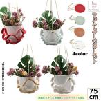  искусственная кожа pot вешалка растения рукоятка гранат растения вешалка висячий tray подвешивание подставка хлопок . крепкий устойчивость горшок грузоподъемность . план to вешалка бесплатная доставка 