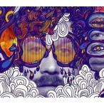輸入盤 PORTUGAL THE MAN / IN THE MOUNTAIN IN THE CLOUD （DELUXE） [CD]