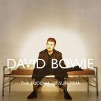 輸入盤 DAVID BOWIE / BUDDA OF SUBURBIA （2021 REMASTER） （180GRAM VINYL） [2LP]