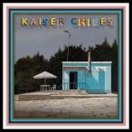 輸入盤 KAISER CHIEFS / DUCK [LP]