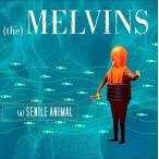 輸入盤 MELVINS / SENILE ANIMAL [CD]