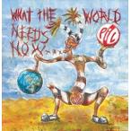 輸入盤 PUBLIC IMAGE LIMITED / WHAT THE WORLD NEEDS NOW [CD]