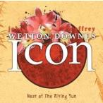 輸入盤 ICON / HEAT OF THE RISING SUN [2LP]