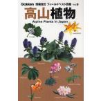 高山植物