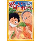 がばいばあちゃん めざせ甲子園 みらい文庫版