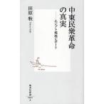 中東民衆革命の真実 エジプト現地レポート