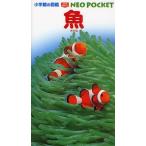魚