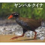 ヤンバルクイナ 世界中で沖縄にしかいない飛べない鳥