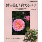 鉢で美しく育てるバラ 育てやすい人気のバラを鉢植えで