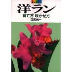 洋ラン育て方咲かせ方
