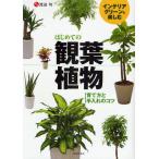 はじめての観葉植物 インテリアグリーンを楽しむ 育て方と手入れのコツ