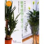 わかりやすい観葉植物の育て方 人気80種のカタログ付き 栽培の基本から寄せ植えまで