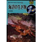 海辺の生き物