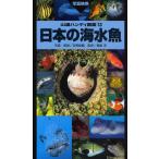 日本の海水魚 写真検索