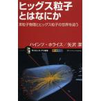 ヒッグス粒子とはなにか 素粒子物理とヒッグス粒子の世界を追う