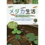 メダカ生活はじめませんか?