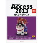 Microsoft Access 2013 基礎