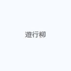 遊行柳
