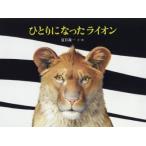 ひとりになったライオン