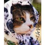 でぶねこめんまさん