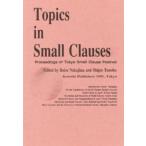 Topics in Small Clau