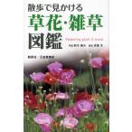 散歩で見かける草花・雑草図鑑