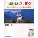 山登りねこ、ミケ 60の山頂に立ったオスの三毛猫