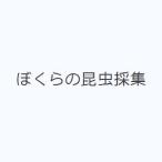 ぼくらの昆虫採集