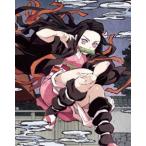 鬼滅の刃 3（完全生産限定版） [DVD]