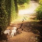 どわぁ風 / Start line [CD]