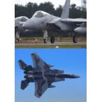 F-15 Eagle * demo полет * специальный Vol.3 [DVD]