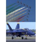 мир. военный самолет Acroba to команда сборник [DVD]