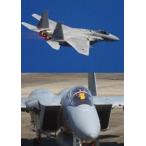 F-15 Eagle * demo полет * специальный Vol.4 [DVD]