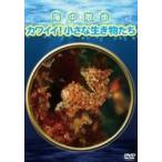 海中散歩〜カワイイ!小さな生き物たち〜 [DVD]
