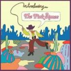 THE PINK STONES / INTRODUCING... THE PINK STONES [CD]