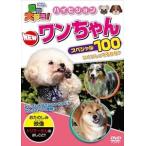 動物大好き!NEWワンちゃんスペシャル100 [DVD]