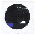 フォゲット・カセッツ / salt [CD]