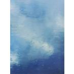 Bank Band with Great Artists／ap bank fes’07 [DVD]