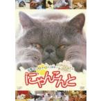ni.....~.... смех .. кошка кошка анимация ho nto. такой ....... делать ~ [DVD]