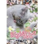 ni.....2 кошка удивляться omo белый .. анимация ho nto. такой ....... делать [DVD]