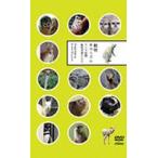  животное chila ритм - камера глаз линия животное фотография DVD- [DVD]