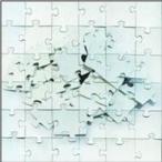 Not Scientists / Destroy To Rebuild [CD]