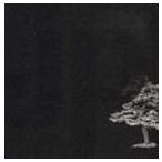 jaz’presso / .jp [CD]