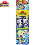 熱中対策 服の上から極寒スプレー シトラスミント 330mL ＊小林製薬 桐灰