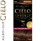 シエロ オイルインヘアマニキュア ライトブラウン 100g+3g+10g ＊ホーユー CIERO