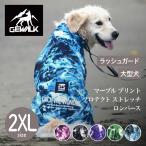 GEWALKジウォーク2025年モ...